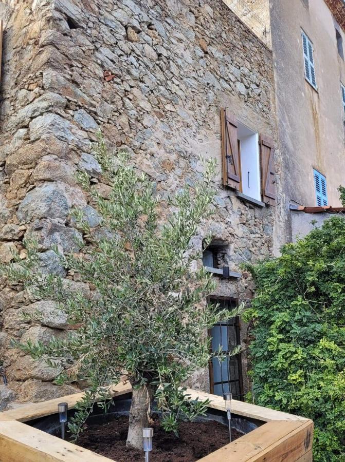 The Cosy Home Corbara By 1722 Extérieur photo